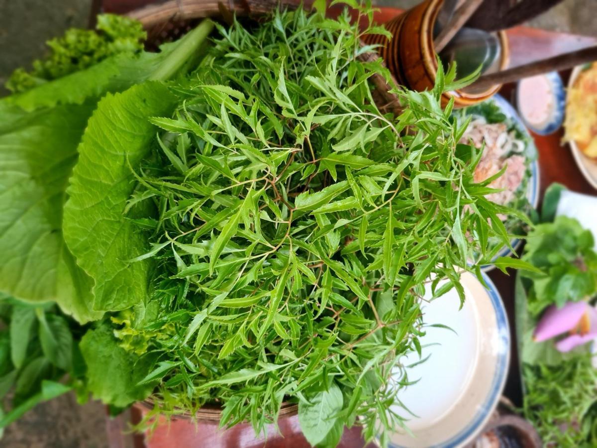 Ba Danh Homestay & Kitchen - Ben Tre Mekong Exteriér fotografie