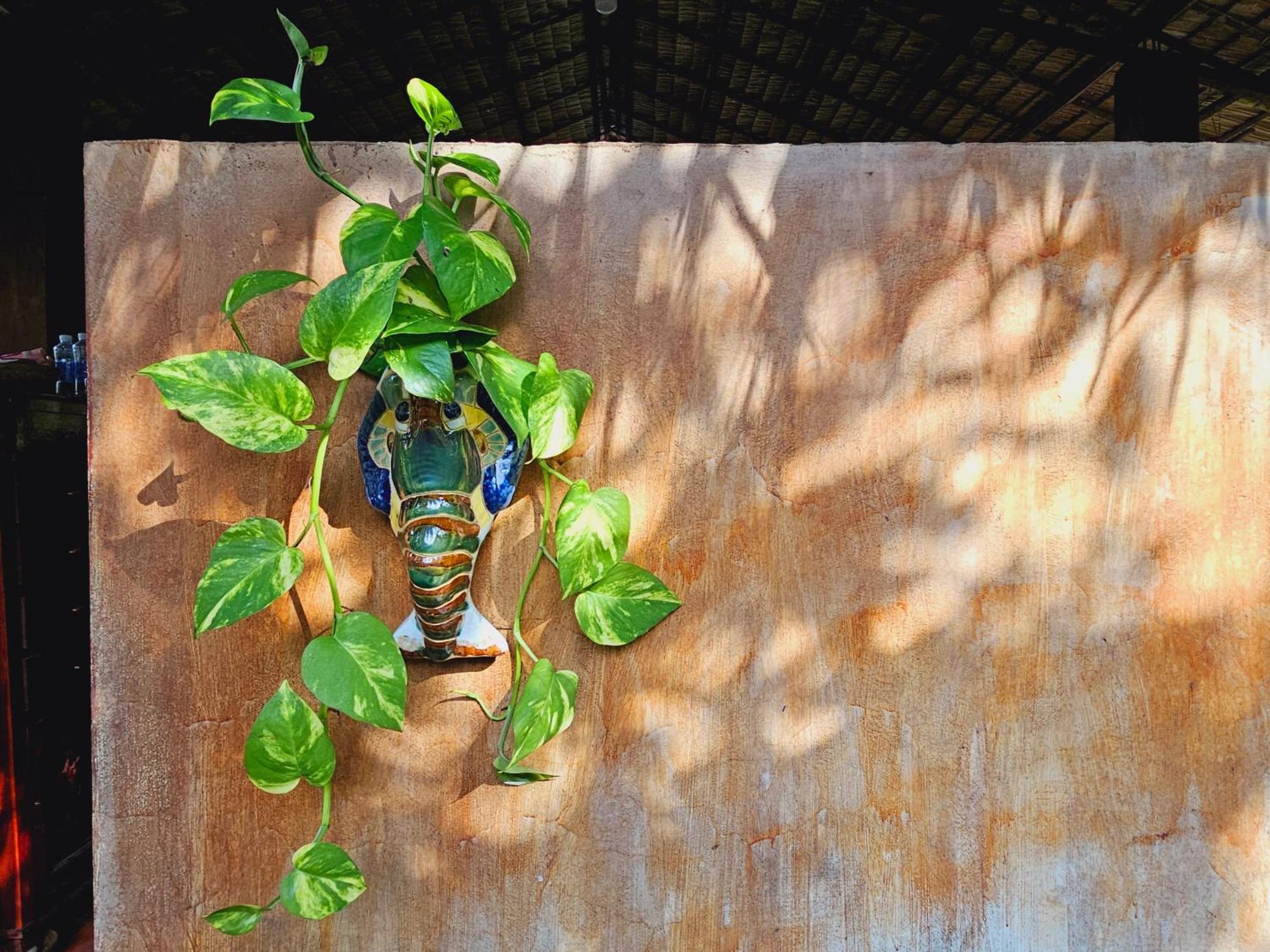 Ba Danh Homestay & Kitchen - Ben Tre Mekong Exteriér fotografie
