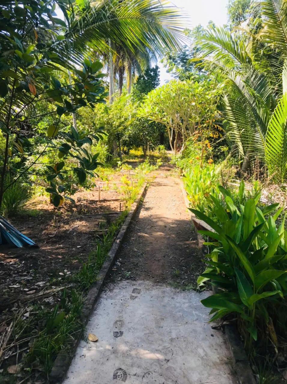 Ba Danh Homestay & Kitchen - Ben Tre Mekong Exteriér fotografie