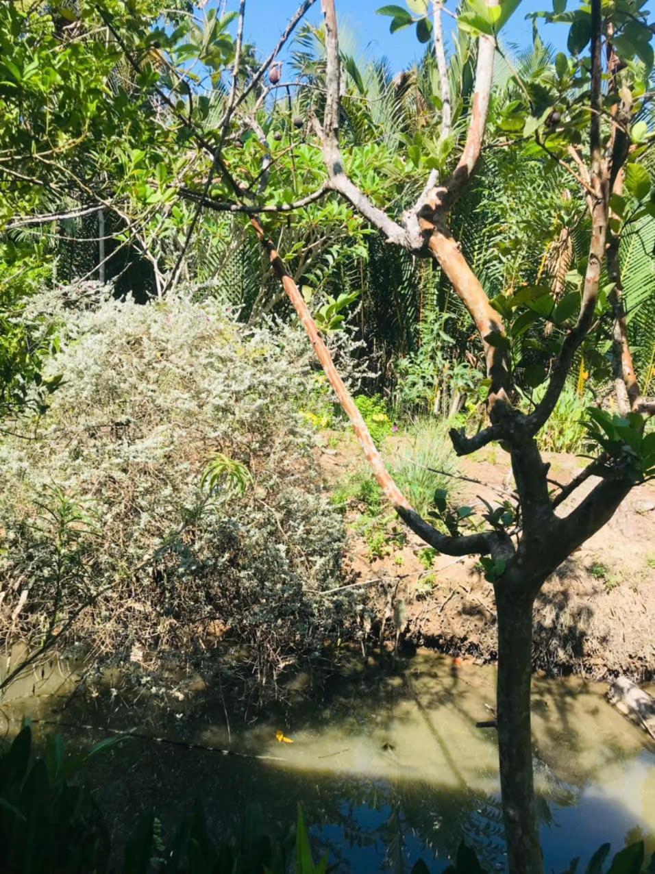 Ba Danh Homestay & Kitchen - Ben Tre Mekong Exteriér fotografie