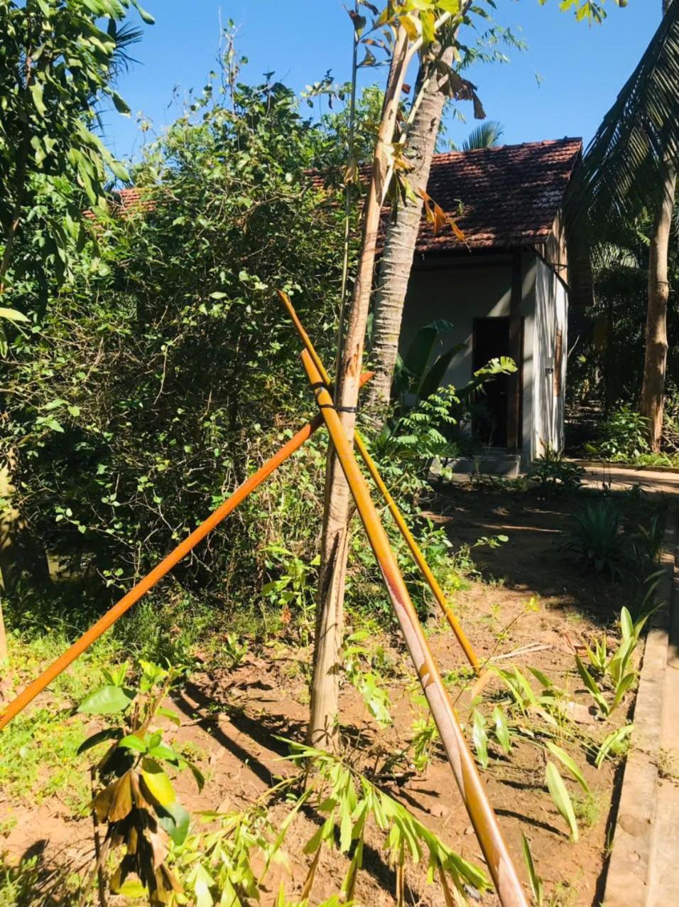 Ba Danh Homestay & Kitchen - Ben Tre Mekong Exteriér fotografie